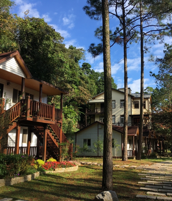 森林小木屋住宿區